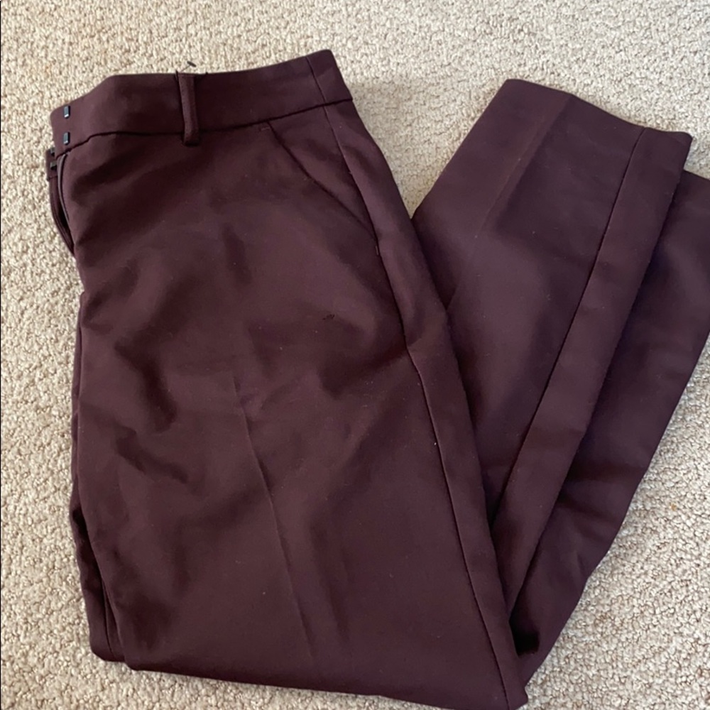 NWT columnist ankle work pants
